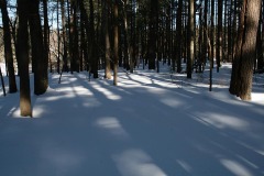 IMG_0237.JPG