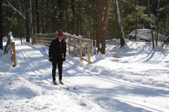 IMG_0532.JPG