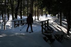 IMG_0584.JPG