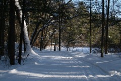 IMG_0588.JPG